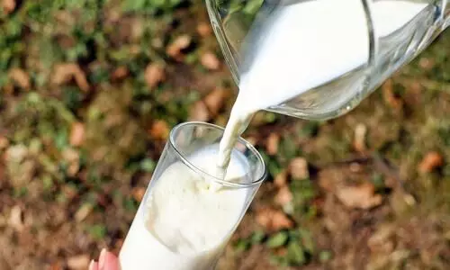 Adulterated milk sold as cow milk in Guwahati