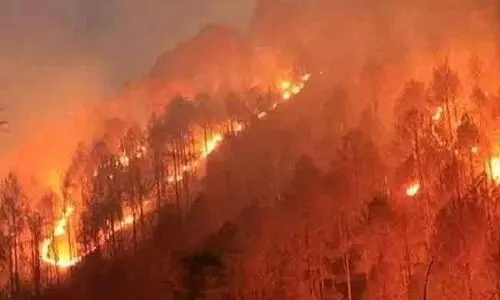 Forest fire in Czech Republic contained after 5 days