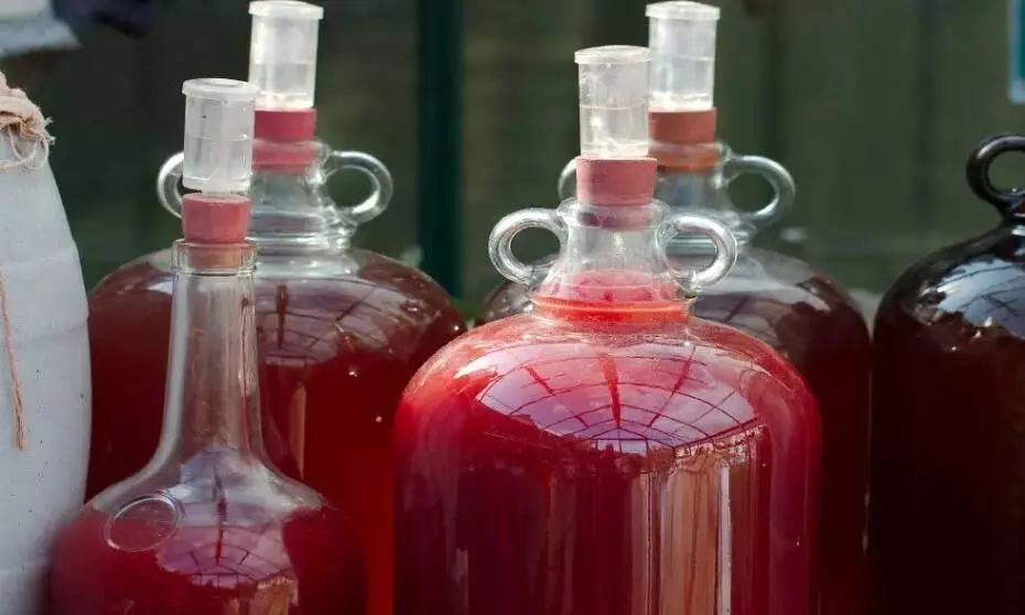 12-yr-old makes wine by watching YouTube video, friend hospitalised after drinking it 12-yr-old makes wine by watching YouTube video, friend hospitalised after drinking it