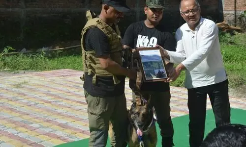 K9 dog squad tracking down poachers in Assam