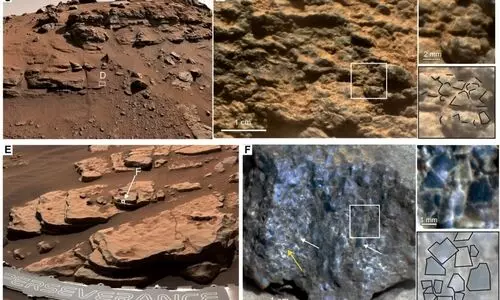 Mars has dark green landscape too, discovers NASA rover
