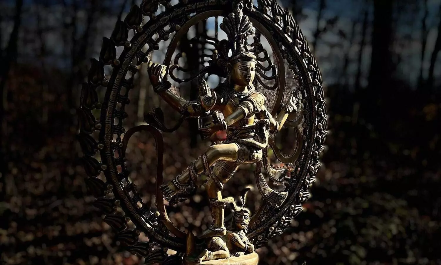 Nataraj idol stolen from India traced to USA