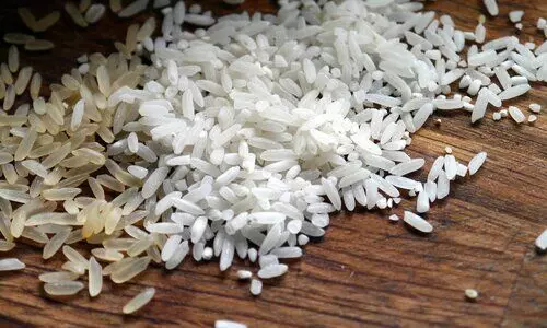 India bans export of broken rice
