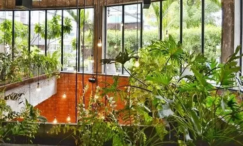 Prep your balcony garden to enjoy home grown desi vegetables