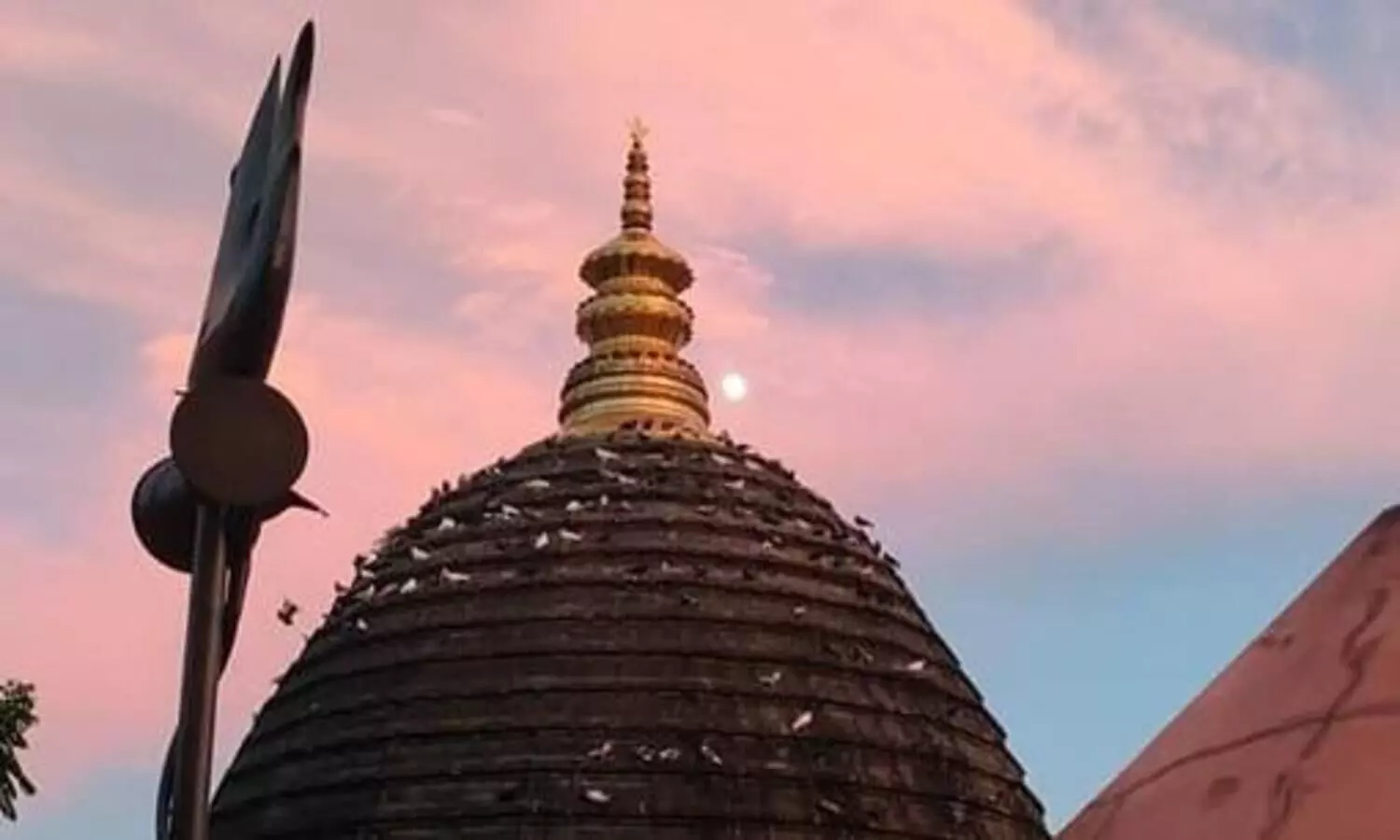 Kamakhya temple buzzes with devotees during Durga Puja after 2 yrs gap