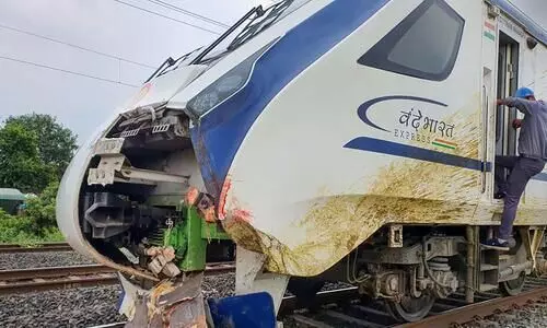 FIR in Gujarat against owners of buffaloes hit by Vande Bharat Express