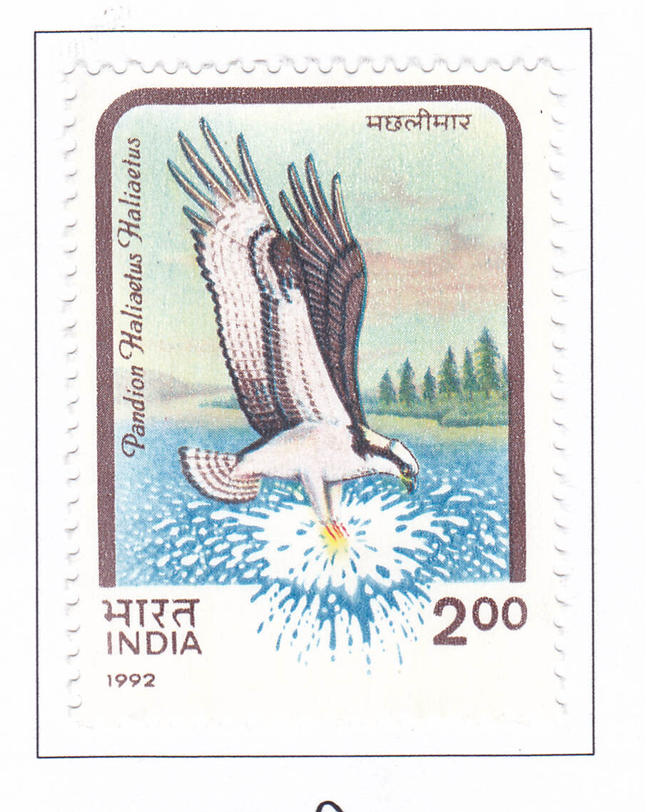 Know about some of the rare postage stamps of India