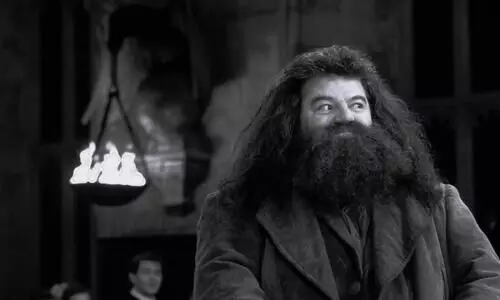 Harry Potters Hagrid Robbie Coltrane passes away at 72
