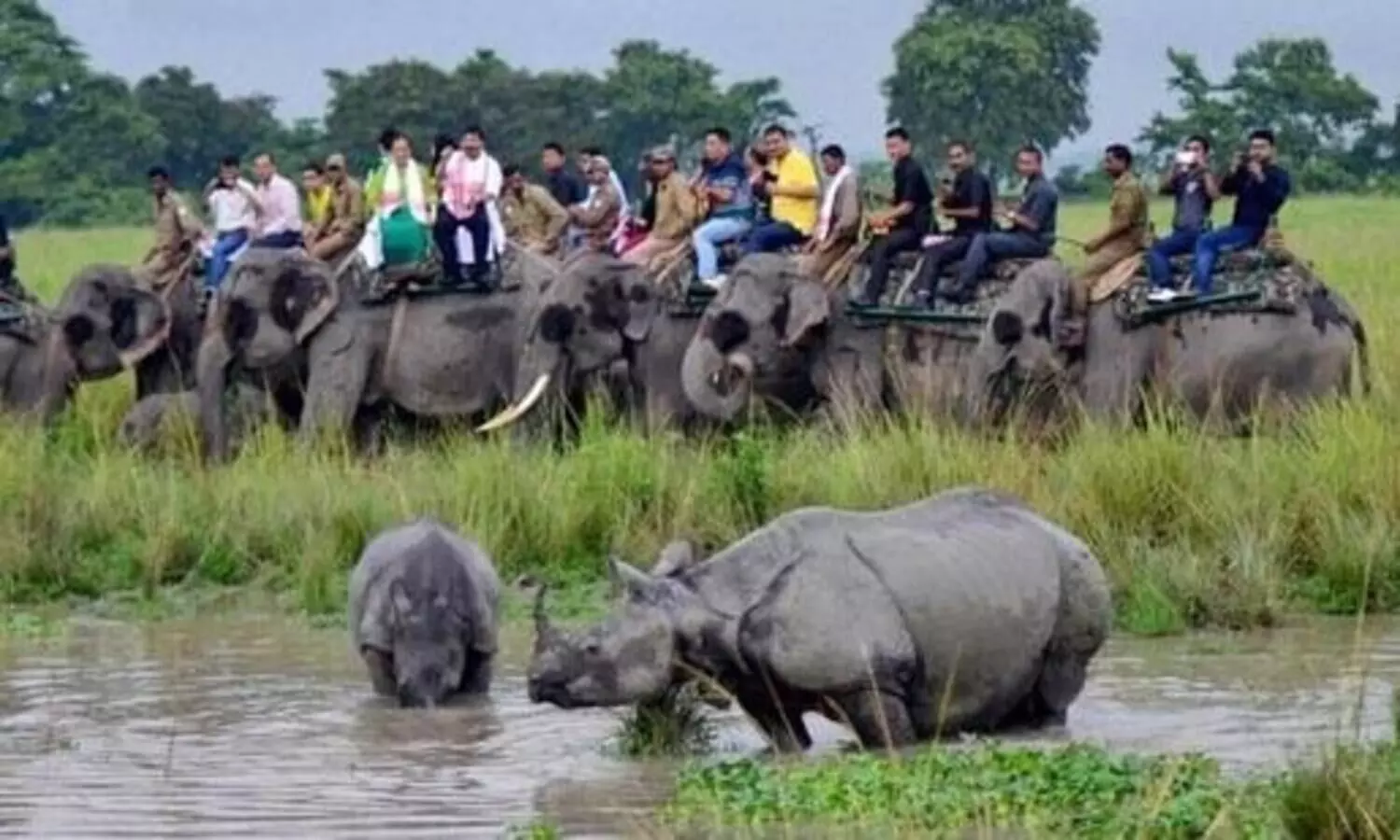 How to book tickets online for availing safari in Kaziranga National Park