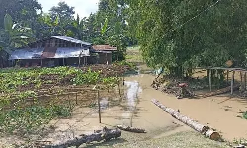 Ranganadi Dam water washes away two bridges in Lakhimpur