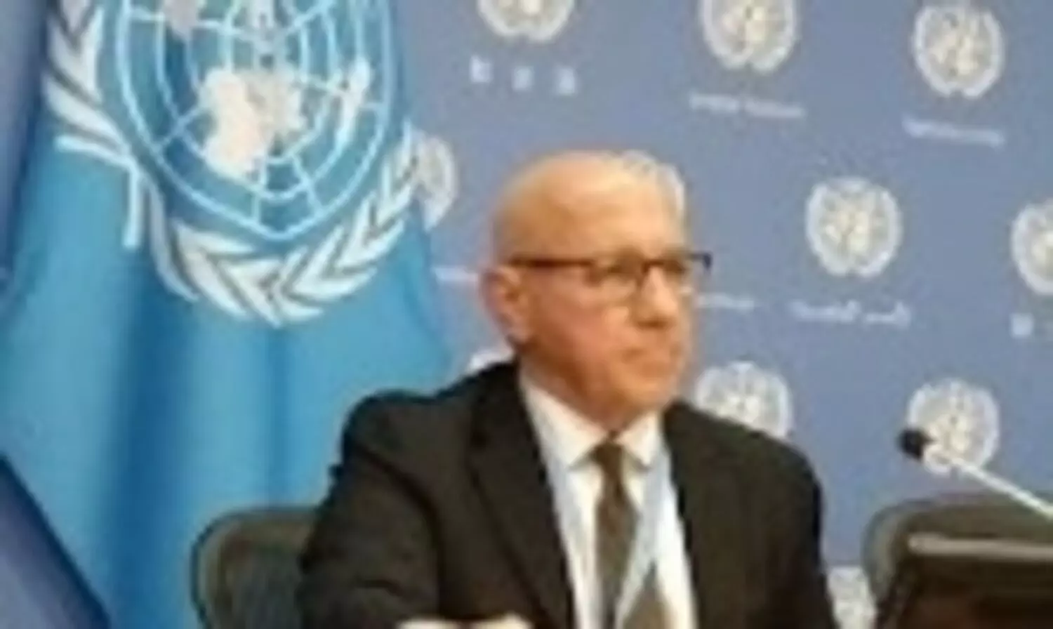 Rohingya extremists should be held accountable for massacre of Hindus: UN expert