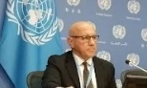 Rohingya extremists should be held accountable for massacre of Hindus: UN expert