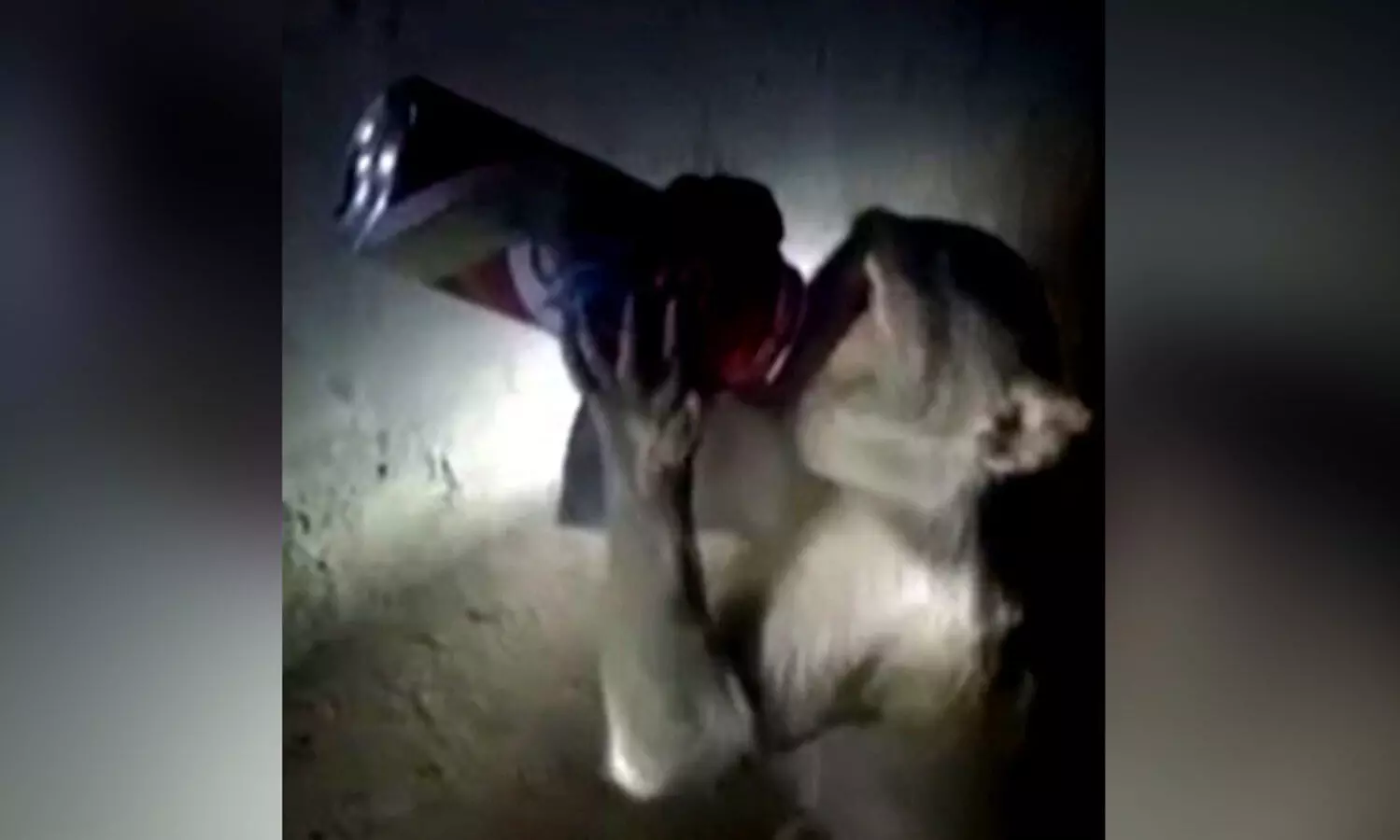 Alcoholic monkey in Uttar Pradesh troubles shopkeepers