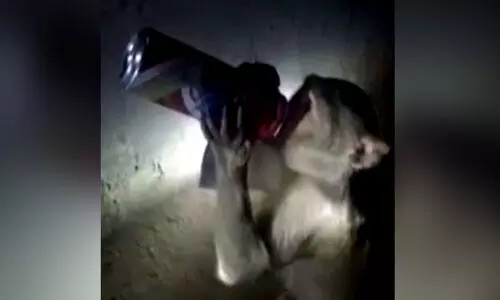 Alcoholic monkey in Uttar Pradesh troubles shopkeepers