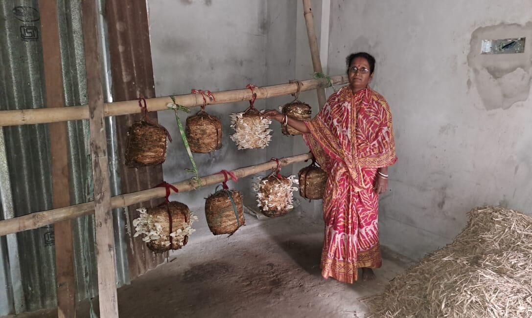 Mushroom farming empowering women folks in Tripura