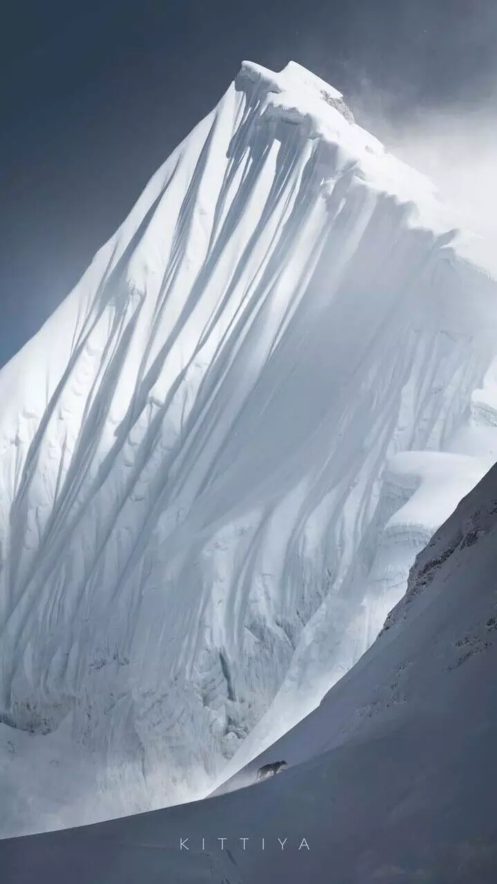 Spectacular images of snow leopard in the Himalayas mesmerises internet