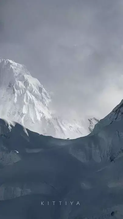 Spectacular images of snow leopard in the Himalayas mesmerises internet