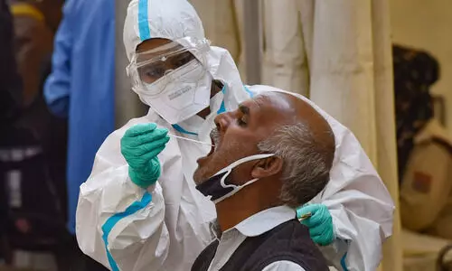 India records 294 new Covid cases