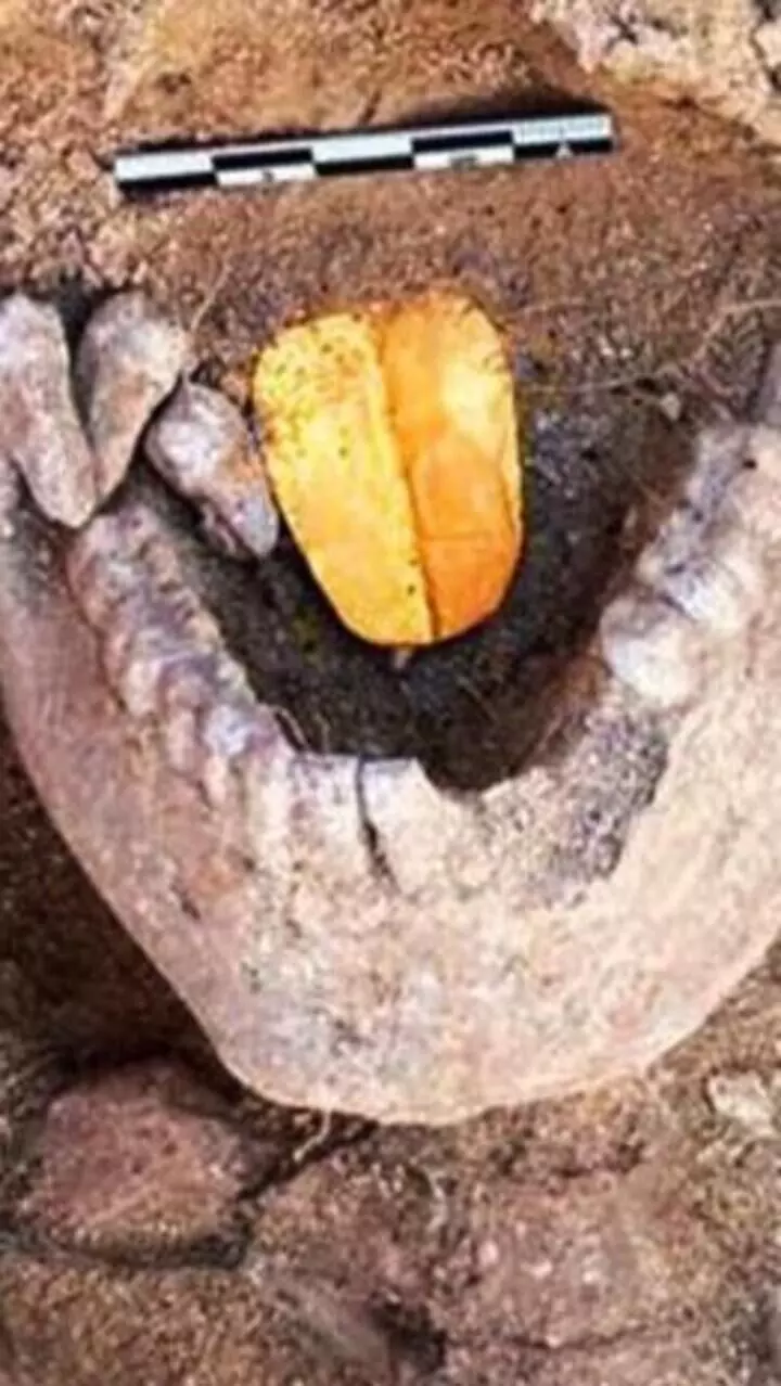 Mummies with a golden tongue discovered in Egypt