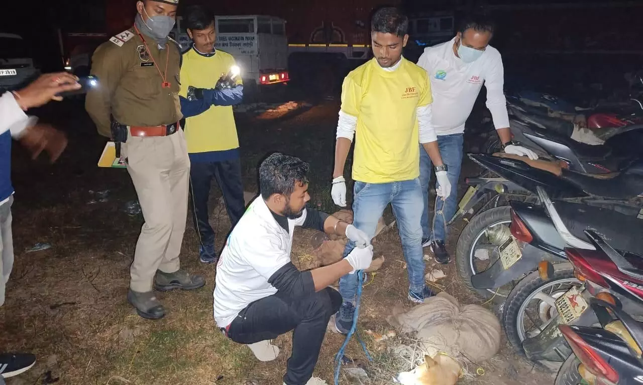 Darrang: Interstate street dog smuggling racket busted, two held