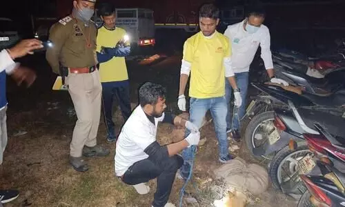 Darrang: Interstate street dog smuggling racket busted, two held