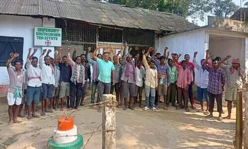 500 labourers stage protest after sudden lockout in Hailakandi