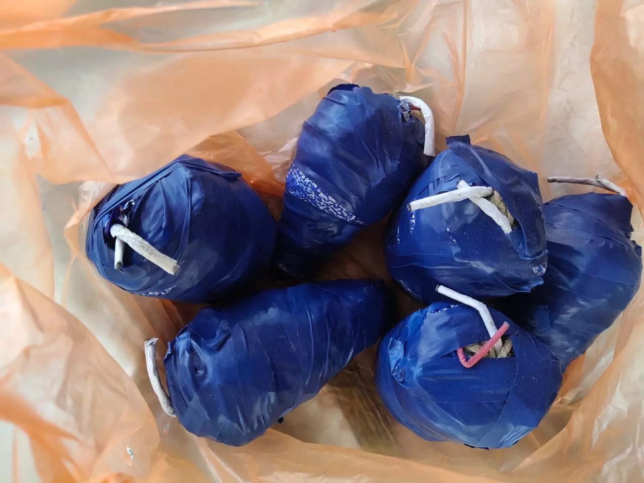 Assam: Cops recover explosives near Dhekiajuli in Sonitpur district Assam: Cops recover explosives near Dhekiajuli in Sonitpur district