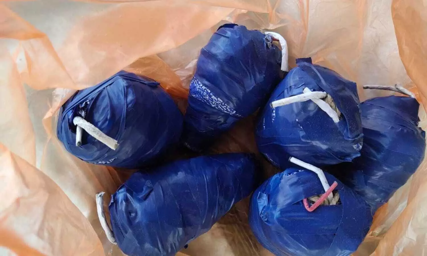 Assam: Cops recover explosives near Dhekiajuli in Sonitpur district