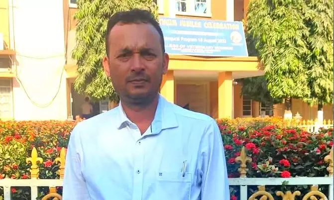 Bajali: Good Samaritan saves stray dog hit by car, appeals people to drive cautiously Bajali: Good Samaritan saves stray dog hit by car, appeals people to drive cautiously