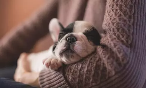 NER trains to have special space for pets