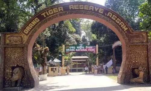 Royal Bengal Tiger found dead in Orang National Park