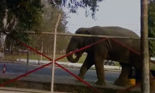 Guwahati: Army jawan crushed to death in Narengi Army Cantonment