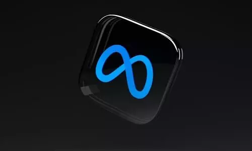 Meta Verified: This is what you get in return after shelling out money