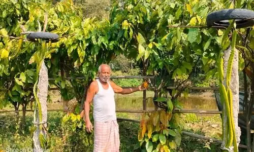 Assam farmer to be felicitated by Indian Agricultural Research Institute