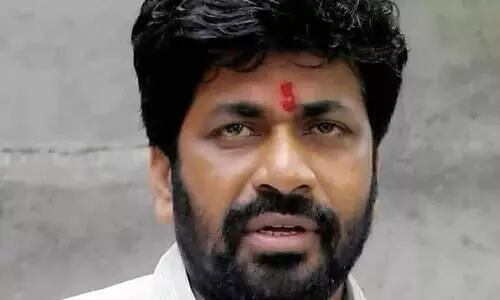 Maharashtra MLA proposes sending stray dogs to Assam for consumption of dog meat