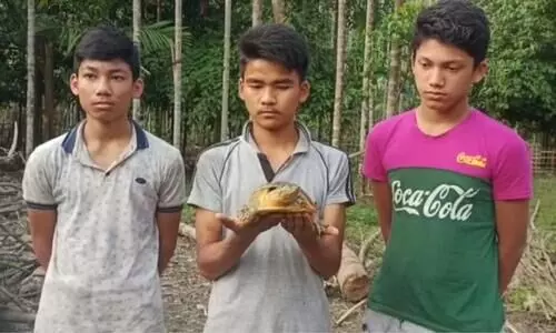 Assam: 3 youngsters rescue rare species of tortoise in Raha
