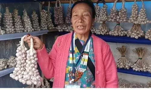 Manipur witness annual Garlic festival in Ukhrul village
