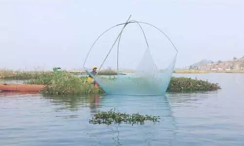 Declining fish catch worries fishers in Manipurs Loktak lake