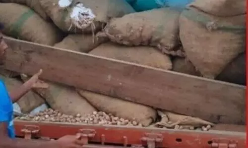 Assam: Betel nuts worth Rs. 40 lakh seized by Karimganj Police