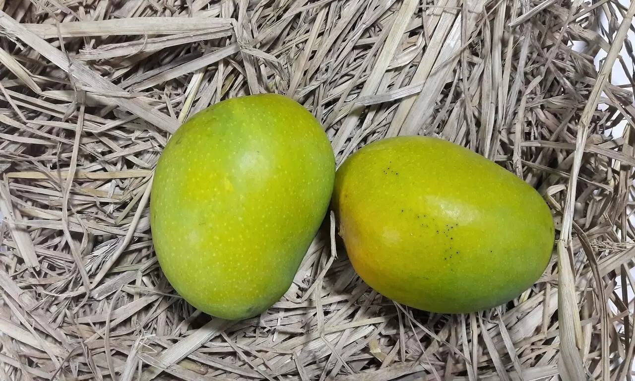 Eat now, pay later: Pune trader offers mangoes on EMI Eat now, pay later: Pune trader offers mangoes on EMI