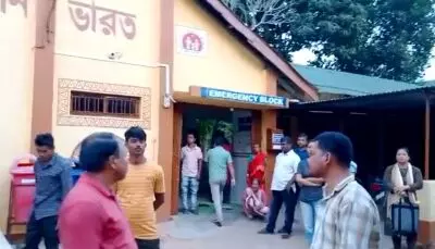 5 fall ill after consuming poisonous mushrooms in Tripura 5 fall ill after consuming poisonous mushrooms in Tripura