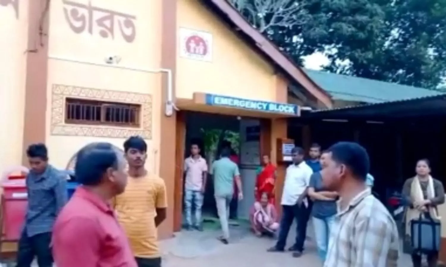 5 fall ill after consuming poisonous mushrooms in Tripura