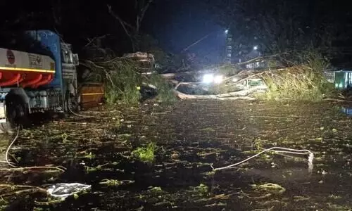 Storm leaves trail of devastation in Tinsukia district; two dead