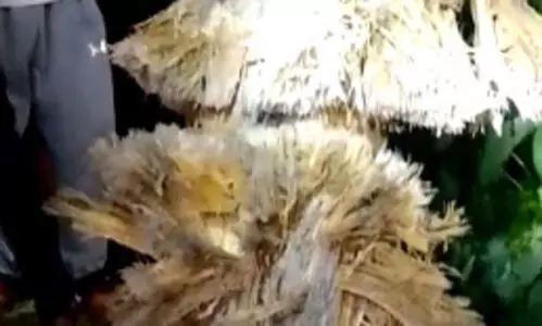 Explosives used to uproot tree creates panic in Cachar