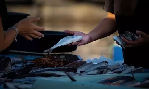 Meghalaya: Day after ban, bacteria found in imported fish