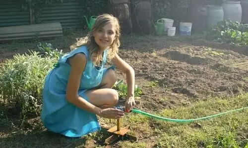 Rise of plant parenthood