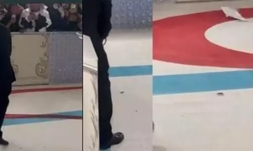 After cats, Met Gala carpet hosts a cockroach