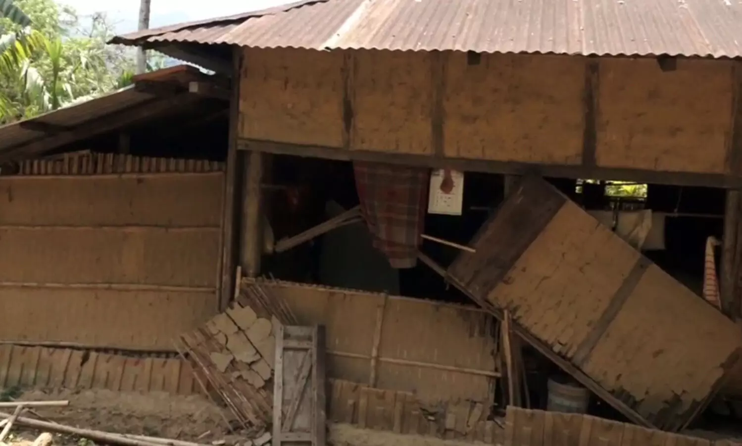 Wild elephants wreak havoc in Goalpara district, 1 killed