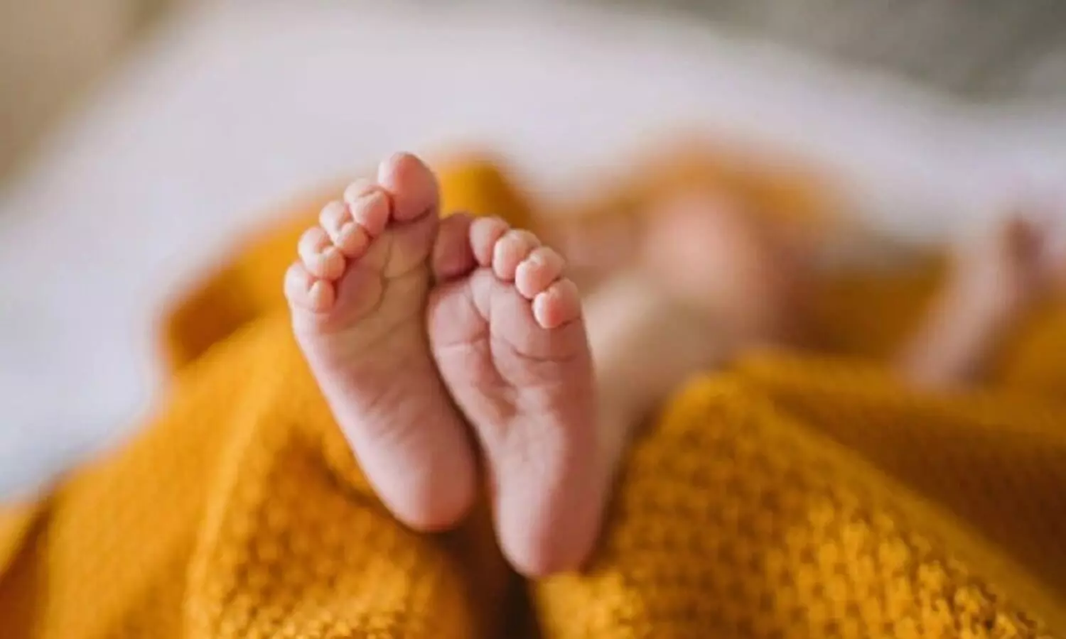 Gujarat: 2 children mauled to death by lion, leopard in two incidents