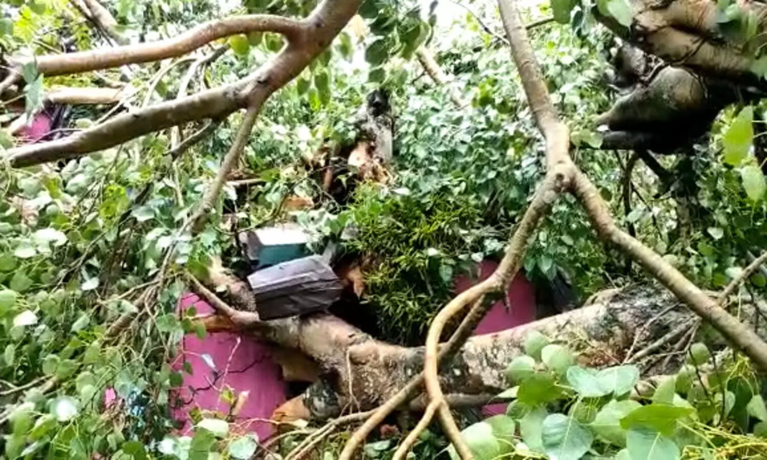 Storm wreaks havoc in Biswanath Chariali